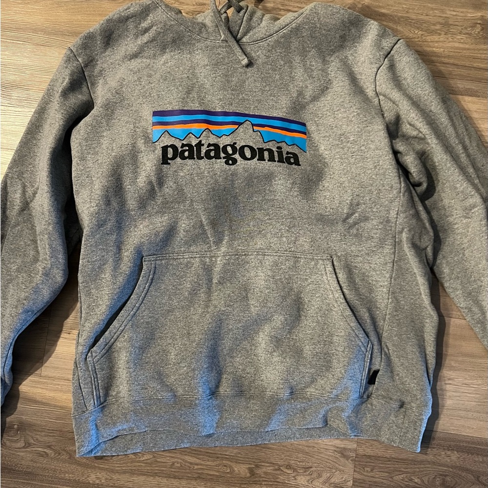 Patagonia Gray Sweatshirt Hoodie